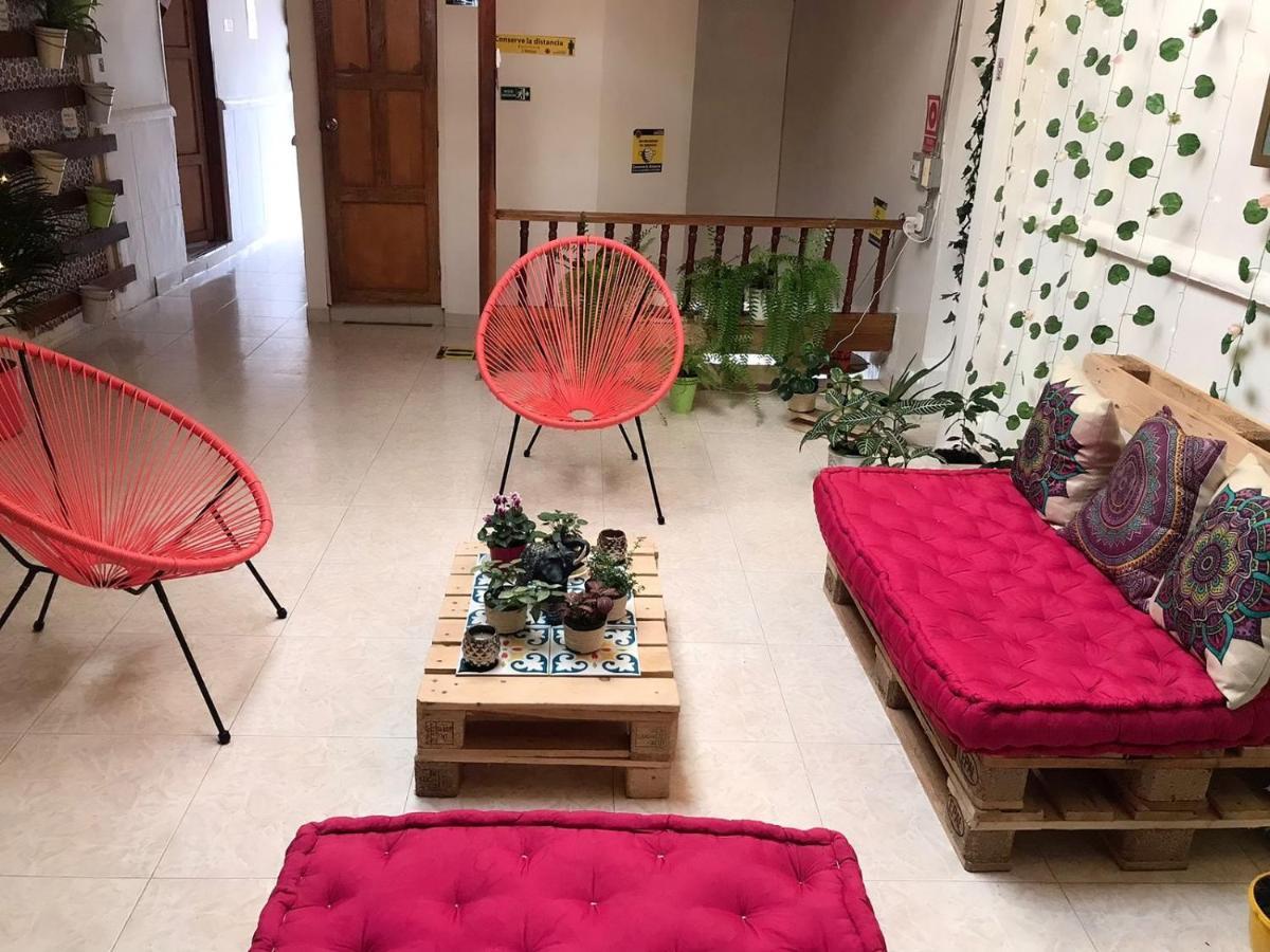 Hospedaje Casa Rosa Jardín Zewnętrze zdjęcie